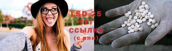 spice Аркадак
