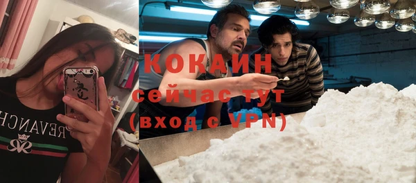 spice Аркадак